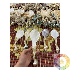 Cuchara Ecológica de Concha Marina Hecha a Mano, Utensilio de Concha Natural, Proveedor de Vietnam para Mesa de Comedor y Decoración del Hogar - Product Image 5