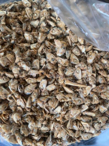 Meilleures ventes : Anchois séchés au soleil du Vietnam, poisson entier naturel pour la transformation alimentaire, l'approvisionnement des restaurants et la vente en gros de fruits de mer - Product Image 2
