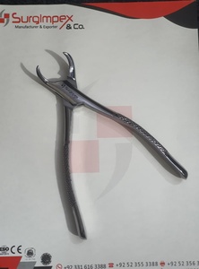 SURGIMPEX FIG 23 Forceps d'extraction dentaire en acier inoxydable, modèle anglais, pour chirurgie buccale professionnelle - Product Image 5