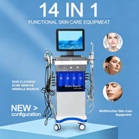 Appareil de soin de la peau multifonction intelligent 14 en 1 avec micro-courant BIO et marteau froid pour le raffermissement du visage