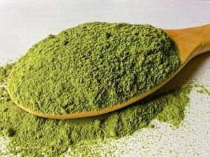 Poudre d'Andrographis Paniculata Naturelle et Pure 10% Andrographolides, Poudre Verte de Chiretta à Base de Plantes pour le Soutien de la Santé, Exportation Inde - Product Image 3