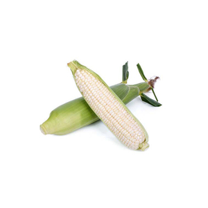 ข้าวโพดเหลืองและข้าวโพดขาว/ข้าวโพดเหลืองสำหรับอาหารสัตว์ - Product Image 2