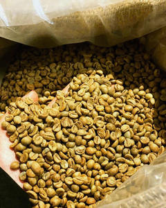 Café Vert Robusta Biologique du Vietnam Certifié USDA et ISO 22000, Taille 16 Grade AA+, Haute Qualité, Vente en Gros, Exportation Directe, Noir - Product Image 4