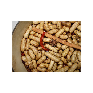 Cacahuetes a Granel de Calidad de Exportación |   Nueces de Cacahuete Crudas Naturales 100% Puras, Marca EcoRev, Origen Uttar Pradesh, para Procesamiento de Alimentos y Aceite - Product Image 6