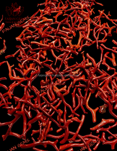 Coral Rojo Natural al por Mayor, Gema Pulida en Bruto, Cabujón Suelto para Joyería, Piedra de Tamaño Personalizable, Entrega Rápida - Product Image 2