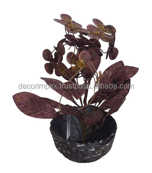 หลายสีธรรมชาติ