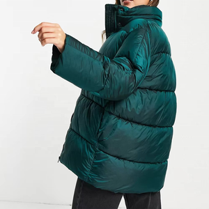 Veste matelassée pour femme, tissu confortable, vêtements d'extérieur d'hiver, imperméable, randonnée, course à pied, décontractée, col rabattu - Product Image 2