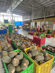 PREMIUM <b>QUALITY</b> Freeze Dried Pineapple for Cocktail & Tea Garnish Natural Sweetness Custom Brand From Vietnam Cheap Price 2026 - Product Image 6