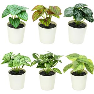 Set di 6 Piante Artificiali in Vaso Stile Fattoria per Casa, Ufficio, Soggiorno, Cucina, Aula, Tavolo, Scaffale, Scrivania - Decorazioni con Piante Finte - Product Image 1