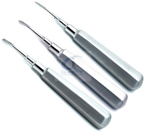 Elevador de Raíces Dentales de Acero Inoxidable, Instrumento Manual de Cirugía Oral, Elevador de Raíces Apicales, Herramienta Quirúrgica Dental de Precisión - Product Image 6