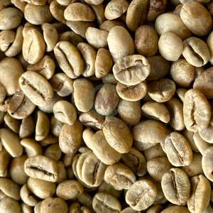 เมล็ดกาแฟอาราบิก้าคุณภาพสูงจากเวียดนาม ความชื้นไม่เกิน 13% เกรด A บรรจุภัณฑ์ตามสั่งจากโรงงานเวียดนาม - Product Image 6