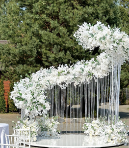 Arco de Boda Elegante, Curvo y Desmontable, Soporte de Fondo Floral de Lujo, Decoración Moderna de Metal para Eventos y Exhibiciones - Product Image 2