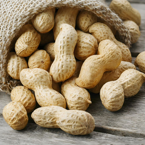 Arachides de qualité supérieure en gros, vente en vrac, prêtes à être expédiées, qualité supérieure pour l'exportation - Product Image 3
