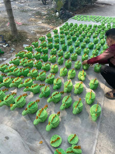 Panier de rangement en rotin écologique Éléphant Conceptions OEM Personnaliser le panier de rangement en rotin Boho de HNH Craft Meilleur prix - Product Image 2