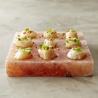 Tuiles de sel rose de l'Himalaya naturelles 8x4x0,75 pouces, tuiles murales en sel, briques de sel pour spa, sauna, bien-être