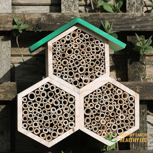 Tubos de Bambú Naturales No Tóxicos para Hoteles de Insectos |   Tubos de anidación ecológicos de tamaño personalizado y OEM de Vietnam - Product Image 5