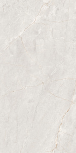 Vente directe d'usine, carreaux de sol en granit 600x1200mm super polis pour salle de banquet. - Product Image 4