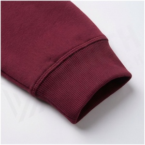 Conjunto Deportivo de Sudadera con Capucha y Pantalones Jogger para Mujer, 100% Algodón, Color Sólido, Logotipo Frontal, Estilo Casual, Otoño, Corte Regular, Largo Completo - Product Image 6