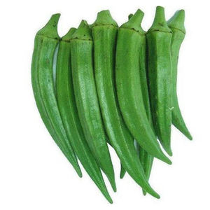 Fournisseur de gombo frais de qualité supérieure, gombo vert 'Lady Finger' en vrac pour l'exportation mondiale aux importateurs - Product Image 5