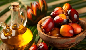 Aceite de Palma Orgánico Prensado en Frío para Cabello Seco, Compradores Mayoristas, Comercio Internacional, Adquisición a Granel - Product Image 4
