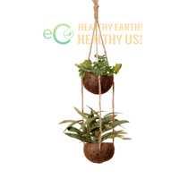 Pot Tanaman dan Pot Gantung dari Kulit Kelapa Grosir Vietnam dengan Logo dan Desain Kustom, Planter Alami Berkualitas Tinggi