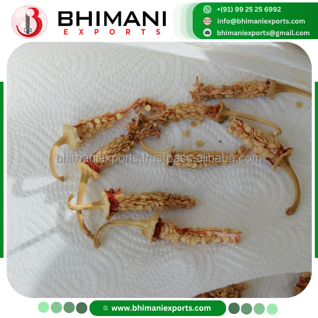 bell pepper seeds f1 hybrid