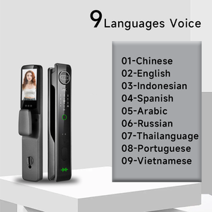 Gold Lieferant Intelligente 3D-Gesichtserkennung Türschloss, Tuya Türschloss Video <span class=keywords><strong>Intercom</strong></span> mit Kamera Smart Lock - Product Image 6