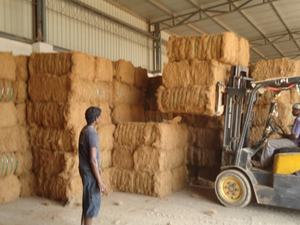 Balles de fibres de coco séchées de qualité export pour l'amélioration des sols |   Produit ignifuge - du premier exportateur indien GEEWIN - Product Image 6