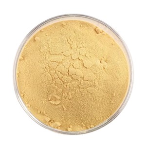 Poudre d'extrait de levure 100 % naturelle à mailles fines, pure, de qualité alimentaire, à base de plantes, contribue à améliorer la digestion et la santé globale - Product Image 3