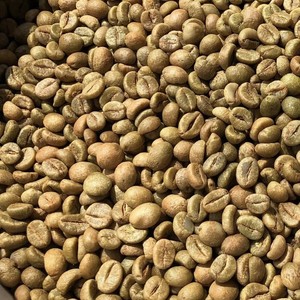 Café vert Robusta du Vietnam, taille 16, grains de café du Yunnan, café biologique, export en vrac, fournisseur de café commercial - Product Image 4