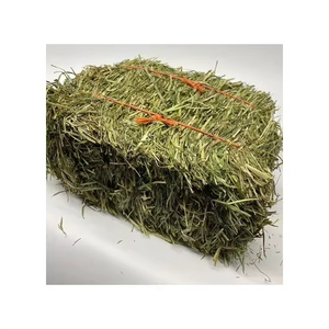 Heno de Timothy Premium, Forraje Verde con Textura Suave, Rico en Fibra, Alimento Natural para Animales, Carga a Granel en Contenedores, Cada Entrega - Product Image 3
