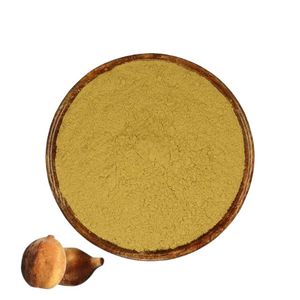 Best Selling Authentic Baheda Fruit Powder Natural <b>Plant</b> Based Baheda Fruit Powder Manufacturer For Ayurvedic Supplements - Product Image 4