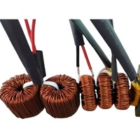 Bobine d'inductance toroïdale haute intensité 10A 20A 30A pour alimentation d'onduleur solaire, noyau en ferrite avec fil de connexion