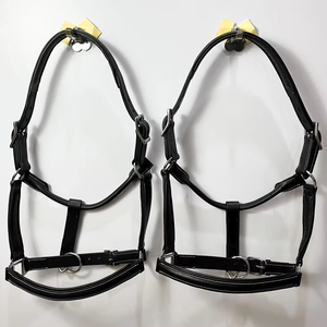 Harnais de polo en corde PP durable pour chevaux, ajustement réglable, rembourrage doux, design confortable, entraînement équestre, taille personnalisée - Product Image 1