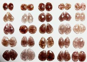 TASBIYA GEMS Piedras Preciosas de Piedra Solar Naranja Natural, Corte Rosa, Facetadas por un Lado, Piedras Sueltas de 150 Quilates, Tamaños Variados para la Creación de Joyas - Product Image 4