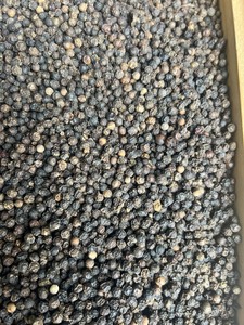 พริกไทยดำเวียดนามขายดี คุณภาพสูง เครื่องเทศรสเข้มข้น อบแห้ง ราคาส่ง - Product Image 5