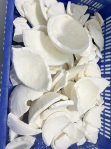 Frozen <b>Coconut</b> Meat Halves Natural IQF Bulk Pack Vietnam Origin For Bakery Smoothie Topping - Product Image 4