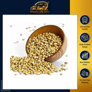 Graines de coriandre de qualité supérieure pour l'exportation, entières, naturelles, pour les restaurants, la transformation alimentaire et la vente en gros - Product Image 2