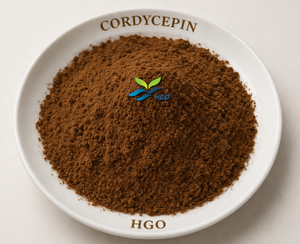 Hgo สารสกัดจากไมซีเลียมธรรมชาติแท้ (เกรดอาหาร) ข้อมูลจำเพาะของ Cordyceps polysaccharides 50% - Product Image 6