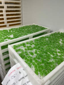 Jelly Gummy Candy personalización fábrica Pequeño Oso gelatina depositador gomoso caramelo duro hacer máquina PLC - Product Image 2