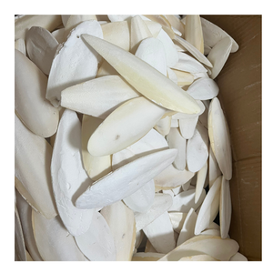 สินค้าขายดี |   กระดูกปลาหมึกดิบ แหล่งแคลเซียมสำหรับนกแก้วและนกในกรง จากบลูโลตัส เวียดนาม - Product Image 1