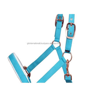 Bride de cheval équestre en sangle de nylon réglable, style western, bleu clair, licol rembourré pour l'équitation, collier de tête - Product Image 6