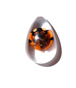 Cabochon Six Star Ladybird Beetle Pear Shape cut <b>top</b> 25x17 mm Clear Flat Bottom for Crafts and Jewelry Making - Product Image 3