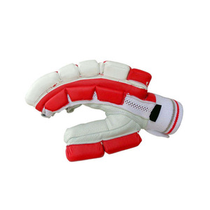 Nuevos guantes de bateo de críquet cómodos, guantes de críquet de calidad profesional, personaliza el logotipo, tamaño y color, guantes de críquet - Product Image 2