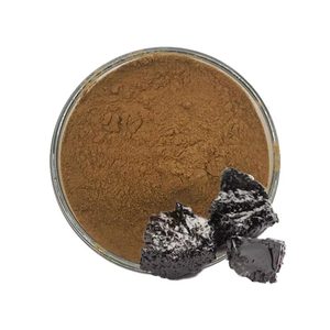 Pure Shilajit Extract 50% Authentic Himalayan Shilajit Rich in Fulvic Acid & Trace Minerals for Vitality & Performance Support - Product Image 1