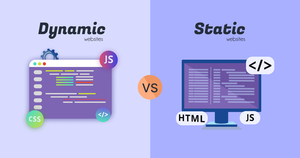 Services de développement de sites Web dynamiques de haute qualité, avec une réponse rapide du serveur et un temps de latence faible, en provenance d'Inde - Product Image 5