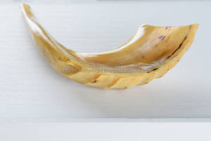 Nuevo hermoso kosher Kudu Shofar cuerno tradicional israelí artesanía más vendedor Shofar - Product Image 2