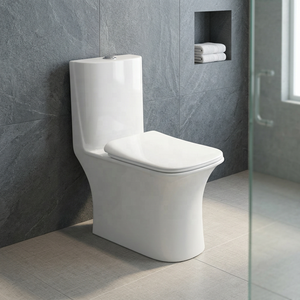 Ceramic One Piece Washdown Toilet Dual Flush Siphon Commode WC Sanitary Ware Modern Design Bathroom - Product Image 6