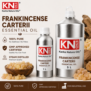 Aceite Esencial de Incienso Carterii Más Vendido, 100% Puro, Boswellia Carterii Orgánica Certificada, Fabricación a Granel, Exportación Mundial - Product Image 4