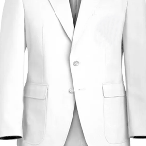 ZPB Blazer unisexe personnalisé avec logo, coupe ajustée, col en V, en coton, pour homme et femme, costume d'affaires, couleur personnalisée, tenue formelle - Product Image 2